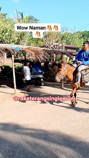 Wow Naman..🐴🐴🐴 raketerangsinglemom Everyone Bheng Dizon Membrillo Ging ot NanayGing Transformations All about Gabriella Junilyn N Fungo Team Rizal Ging ot SUPPORTERS Team Dabahons,Solid Nation��� #highlightseveryone #reelsvideoシ #dabahons #nanaygingtransformation #JunilynNFungo #allaboutgabriella #Gingot @highlight SugodBahay ni NanayGing ot Facebook | Ruby Ana Dizon Membrillo