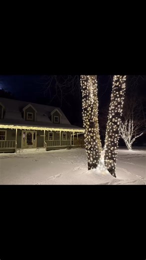 Winter Wonderland Sparkle ✨ #christmaslights #holidaylights #christmaslightinstallation #holidaylightinstallation #lightsonmainstreet #seacoastnh #holidaymagic #snowsparkles | Lights on Main Street