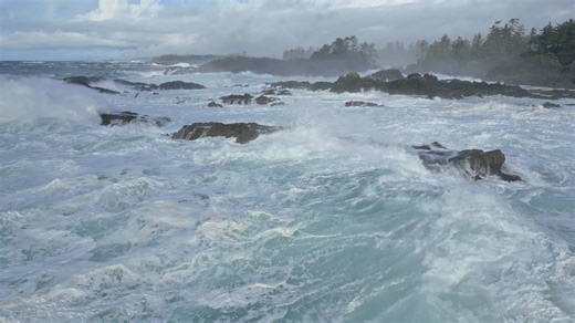 I released this elsewhere a while ago but thought I'd pop up a new 16 minute long video here on the page! With this video you can soar just above the surf at The Amphitrite Lighthouse in Ucluelet like a bird watching the drama of the waves from the safety and comfort of your couch. While the seas in this region are dangerous many people find the wave to be a great source of comfort. This footage is from the fall of 2025. For a few weeks in late October and early November we had great condition f