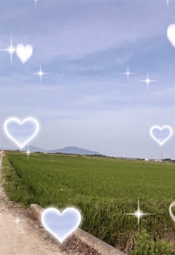 新潟の魅力を再発見！田んぼだけじゃない