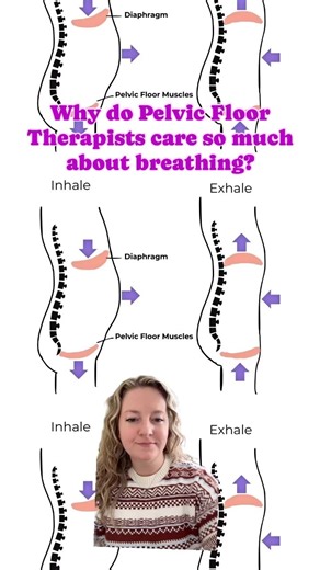 So many of our patients come in with what we call paradoxical breathing, which is when the chest expands during inhalation and the abdomen is drawn inwards. During a regular breathing pattern, your ribs expand and your diaphragm flattens. This lowers and moves your organs downwards requiring your pelvic floor muscles to lengthen in order to make room for this movement of your organs. People who have difficulty with coordinating their breathing can have issues such as pelvic pain, pelvic prolapse