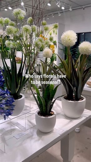 Who says florals are seasonal? TreeMasters designs remain full, vibrant, and beautifully in bloom year-round — so your space always feels fresh, finished, and effortlessly elevated. #TreeMasters #FauxFlorals #InteriorDesignTrade #DesignerDetails #HomeDecor #TimelessDesign #YearRoundBloom #HospitalityDesign #RetailDesign | Treemasters Inc