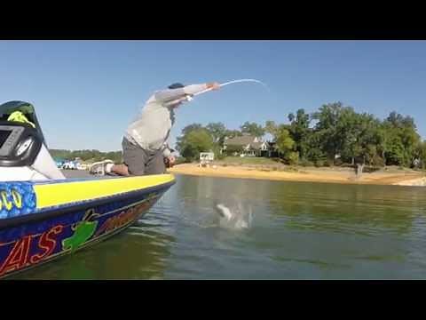 The Yamamoto Kreature bait