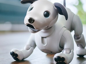 El perro robot de Sony, Aibo, regresa luego de 11 años • ENTER.CO