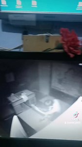 MAYBE DANK MEME V on Reels