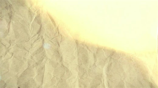 Mãi là thanh xuân của nhau, cảm ơn những người bạn mà tôi đã gặp, đã làm nên tuổi trẻ của tôi🍀🍀🍀 #xuhuong #tuoitre