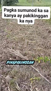 Pagka sumunod ka sa kanya ay pakikinggan ka nya I JUAN 5:14 (ADB) At ito ang nasa ating pagkakatiwala sa kaniya, na kung tayo’y humingi ng anomang bagay na ayon sa kaniyang kalooban, ay dinidinig tayo niya: | Bro Fred