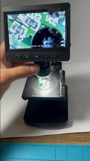 How to use a microscope at home🔬