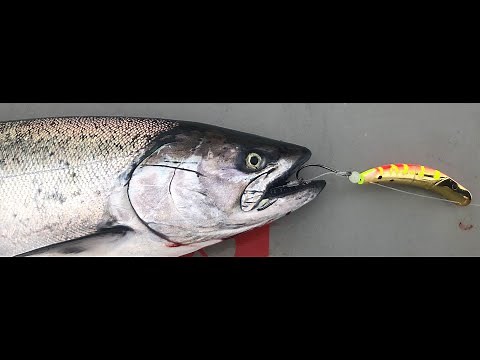 Salt Patrol Tec - Yakima Bait SpinFish