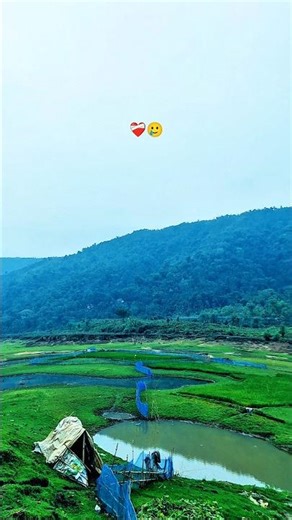 most beautiful nature view | Sylhet 🍀#nature #foryou #shorts #shortvideo