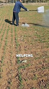 212K views · 1.2K reactions | Revolutionizing Brick Making and Eco-Friendly Farming #BrickMakingMachine #SustainableFarming #EcoFriendlyInnovation #SmartTechnology #WasteToFertilizer | Satisfying Videos | Facebook