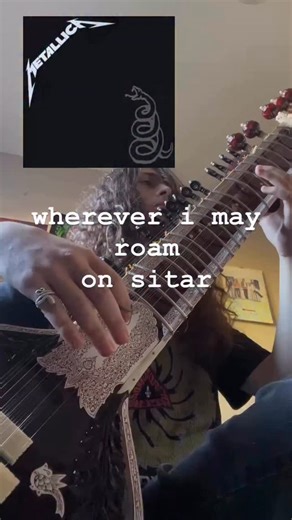 Soldano Srp on Instagram: "#metallica #indianmusic #sitar #songcover #jimihendrix"