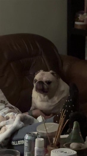 Nick Bozich (@nickbozich)’s videos with Glorpin - Eddie EWI