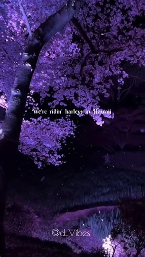 Harley in Hawaii - Katy Perry/new song lyrics video ✨/ #viral #trending #shorts