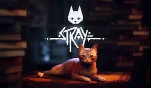 Stray Review - More Than Just a Cute Cat
