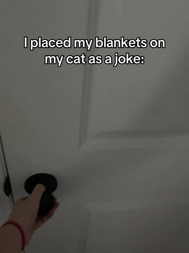 exploding.cat.memes on TikTok