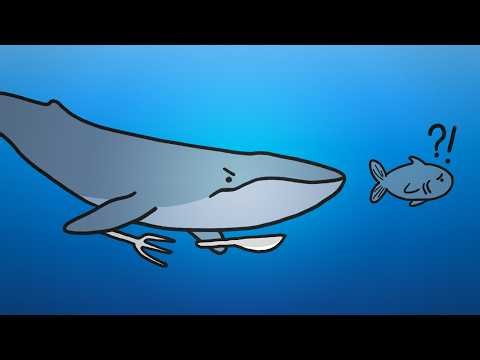 Why Don't Blue Whales Eat Fish?