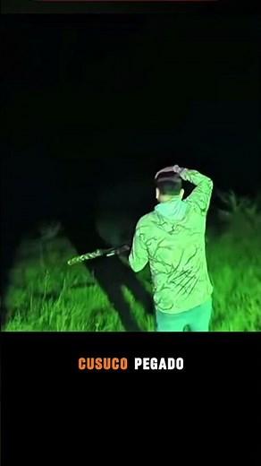 !!!!aventura extrema!caza /cocina de armadillo #hunting #elsalvador #viral #caceria