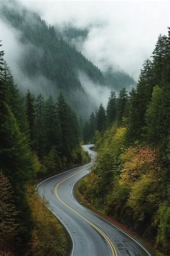 I grew up in Washington | The Cascades Highway, also known as Washington State Route 20, is one of the most breathtaking scenic byways in the United States | Facebook