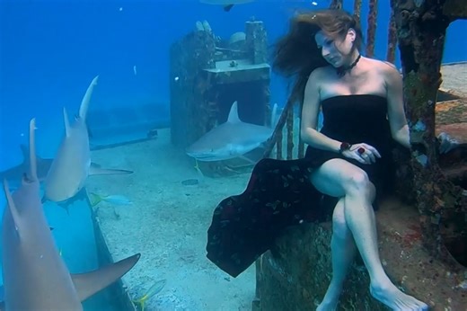 Swimming with sharks? Underwater model makes it look easy