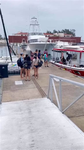 Tour de Snorkel. El Jardin de Veracruz 🐠 Explora los Arrecifes: 🪸 Blanquilla 🪸 Colas de gato 🪸 Isla Verde. | Monkey Fish Veracruz