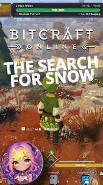 The Search for Snow in BitCraft Online