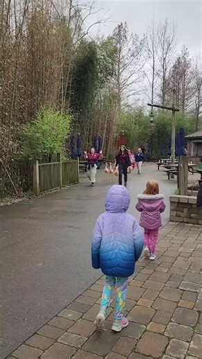 34K views · 1.9K reactions | This impromptu flamingo parade was the best thing ever Nashville Zoo 囹 The rainy day didn't dampen our visit to this amazing zoo! #flamingo #flamingos #mommyfarmer #nashvillezoo #nashvilletennessee #zoolife #animalloversofinstagram | MommyFarmer | Facebook