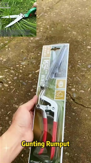 Effective Plant Pruning Techniques for Gardeners