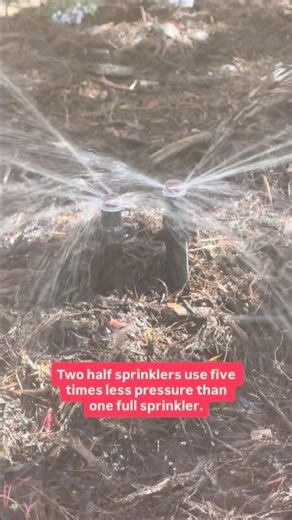 Two half sprinklers use five times less pressure than one full sprinkler! 💦🤣🤷‍♂️