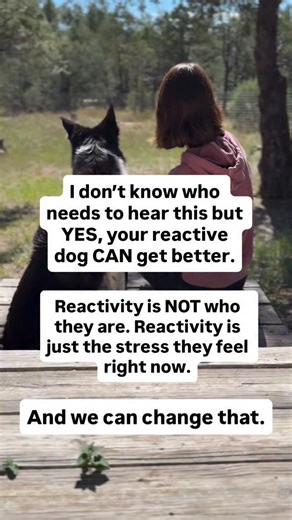 5.8K views · 29 reactions | Reactivity is NOT a life sentence, it is not a personality trait and it is not who your dog is. I promise that we can change it ♥️  Questions about your dog’s reactivity? Drop them below! We answer every single one ☝ | SpiritDog Training | Facebook