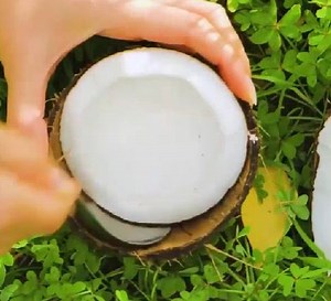 666K views · 636 reactions | Some awesome ways to befriend a tree! | Green Bean | Facebook