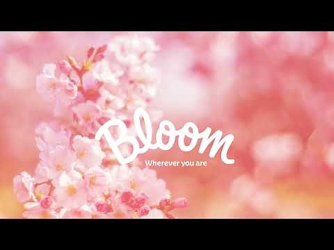 Kleenex Ultra Soft Moments Limited Edition Facial Tissues