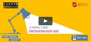 BCDI - L’articulation BCDI/e-sidoc
