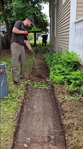 Satisfying Yard Cleanup From Start to Finish #oddlysatisfying #yardwork #transformation