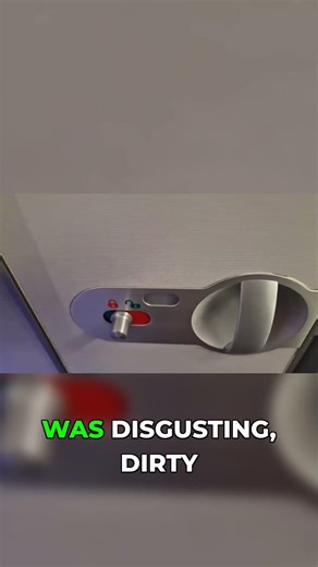 Cockroaches on Board? We Checked the Airplane Toilets!