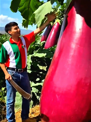 Transformation Effects of Fruits in Video Trends