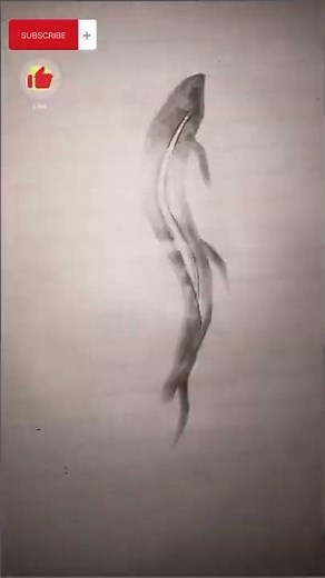 How to draw a Catfish.