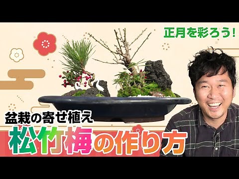 Let's make a pine, bamboo, and plum tree for New Year's Day!
