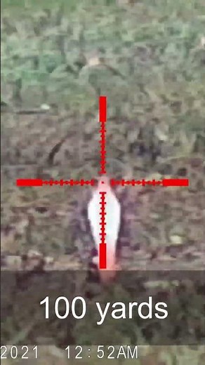 My .22 lr setup vs targets at 50,75, and 100 yards! #precisionseries