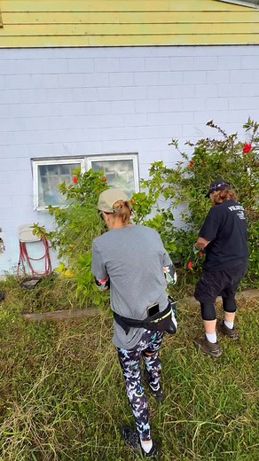 Recently we teamed up with the Animal Warriors volunteers to clean up the garden beds around our chimp buildings and plant new banana trees!🍌🌴 Thank you Animal Warriors for all of your help at Save the Chimps💚 #savethechimps #chimpanzee | Save the Chimps, Inc.
