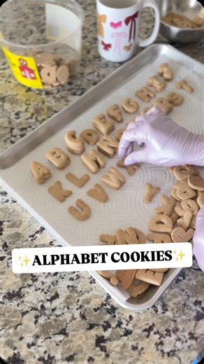 Ashley Marquez on Instagram: "These have alphabet cookies are giving me endless inspiration, and they taste so good, too! 😍 They’re perfect for DIY baking projects - here’s a few ideas on how to use them: • math practice with the numbers • spelling/phonics • crosswords/word search • customize treats with names • Gingerbread house decor • on brownies for a s’more touch (these are grahams!) • decorate them with frosting or icing • Elf shenanigans What am I missing?!🤔 #cookies #cookiedecorating #