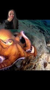 Generative AI can turn text prompts into Hollywood level video productions. Tools like OpenAI's new SORA text to video generation represent how AI can serve as a tool to amplify and make content creation more accessible and innovative. It's a huge step for AI's goal to understand and stimulate the real world. The technology also allows for image to video animation, as well as video frame extensions and "recovery" of missing frames. Can you imagine the use cases and applications? Why should this 