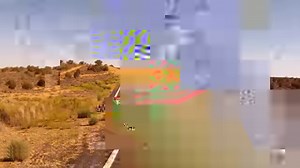 10K views · 593 reactions | Hank decided GDS was no longer the life for him and left for the life in which he feels he belongs. | Galgos del Sol | Facebook