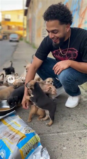 #subscribe #humor #greenscreen #animals #funny #fyp