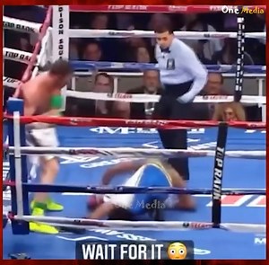 15 Funniest Moments in MMA and boxing of History 😁😁🤣 | Elena Bates