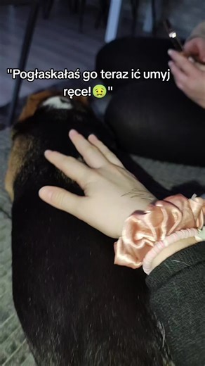 Funny Dog Reaction to Being Petted