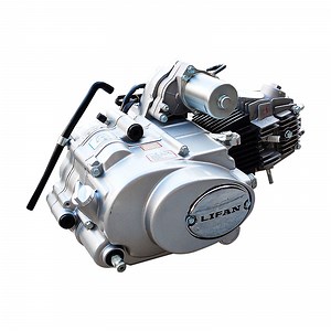[Hot Item] OEM 110cc Engine for Mort-Bike 4 Stroke Air-Cooled Lifan 110 Engine Kit