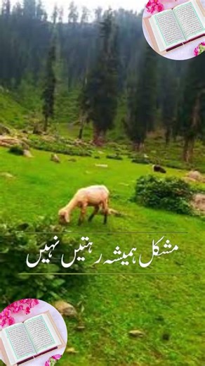 sunhare haroof