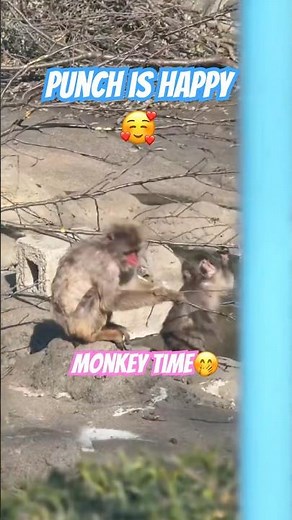 Punch fix the Problems #shorts