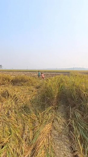 Gorilla 🦍 Costume Prank 😢 #reels #prank #prankvideo #gorilla #viralvideo | Motovlogger Mithlesh